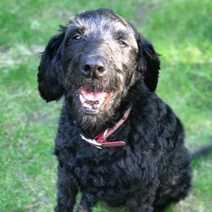 Meet your Posher, Mallory